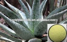 Golden Supplier Water Soluble 20% Aloin A Aloe Vera Extract