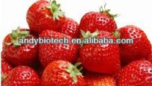 Water suluable Strawberry Juice powder