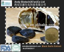 High Standard 10:1 Black Garlic Powder