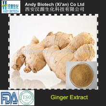 Hign Quality 5%  Gingerol s  Ginger   Extract 