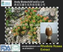 Best Selling Natural Rhodiola Rosea Extract