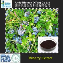 Pure High Quality Plant Bilberry Extract Powder