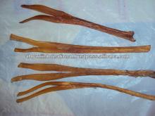 Dry Buffalo Tendons