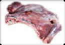 Sheep Leg