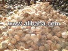 Fresh Matured Coconut Available...