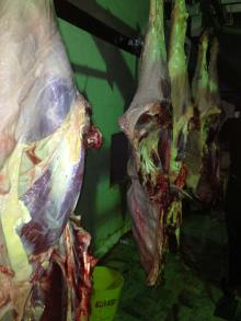 HALAL CHILLED  FRESH   BEEF  CARCASS
