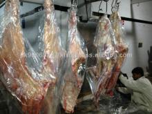 HALAL FROZEN BEEF CARCASS