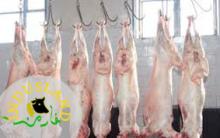 Chilled  Mutton 