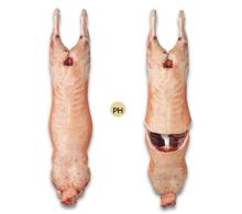 New Zealand  Lamb 