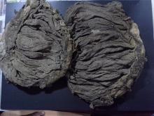 salted frozen omasum