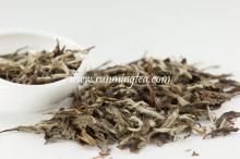 white tea extract powder