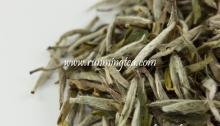  organic   white   tea   extract 