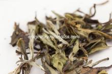  Yue  Guan Bai white tea