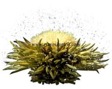 Fei Xue Ying Chun green blooming tea-BMG075