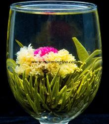 Shui Se Chun Xiang green blooming tea-BMG073