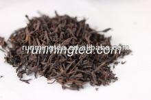 oolong tea brands