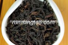 oolong tea extract powder