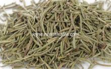 rosemary