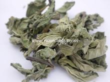 dry mint leaves