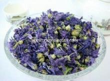 violet flower