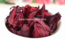 roselle flower