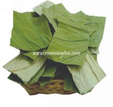 dry lotus leaf