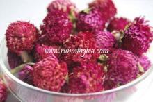 globe amaranth tea