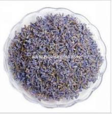 lavender flowers