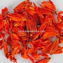 dried lily flower