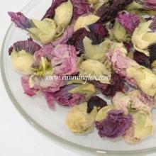 violet flower tea