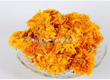 EU standard marigold