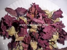 dried violet flower