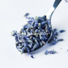 dried lavender  flowers 
