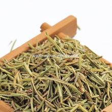 rosemary herb tea