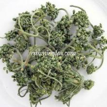 Ginseng Flower Tea