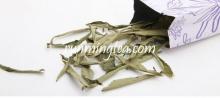 Stevia Sweet Leaf