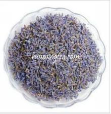 Dry lavender flower A