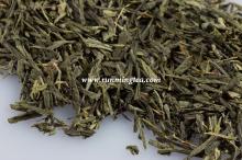 sencha green tea