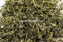  ganoderma   green   tea 