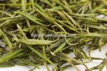  organic   green   tea   bags 