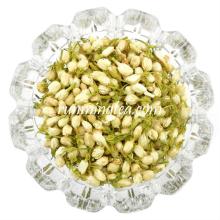 Organic Jasmine Flower Dry Jasmine Herbal Tea