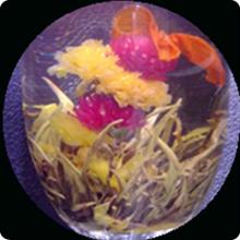 Blooming Tea  Flower ing Tea