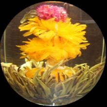 Chinese Jasmine  Fairy  Blooming Flower tea