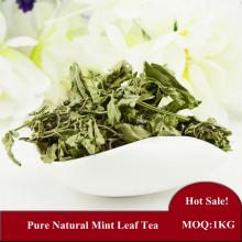 Natural Dried  Mint   Leaf   Tea  Improves Your Mood