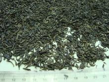 special chunmee green tea 41022 AAA