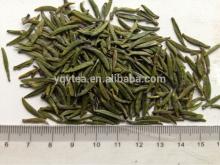 export goods Que She sparrow tongue green tea