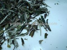 EU standard White peony tea
