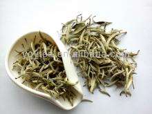 organic white tea, bai hao yin zhen, organic white silver needle