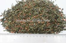 Japanese and Korean style green tea, genmaicha