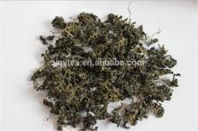 herbal infusion, Gynostemma tea, jiaogulan